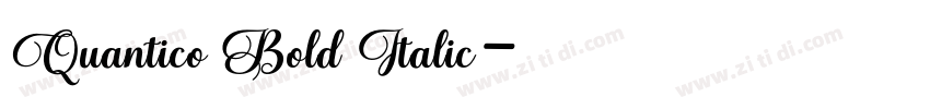 Quantico Bold Italic字体转换